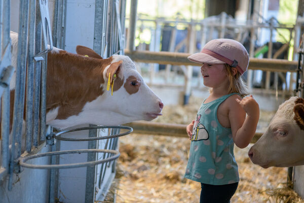 Hasenstall zum streicheln Streichelzoo auf dem Berghof Kopp in Drachselsried Bayerischer Wald